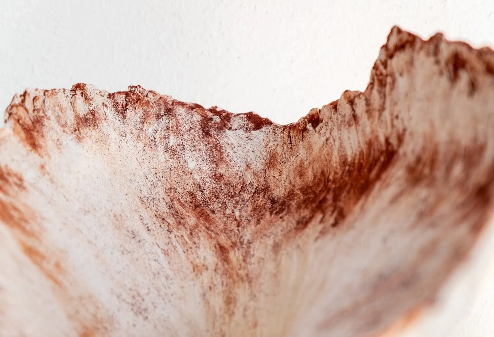 Detalle de una escultura de cerámica blanca de Ana Saldaña, con el borde rasgado teñido de tierra roja